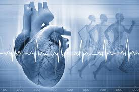 Cardiology image