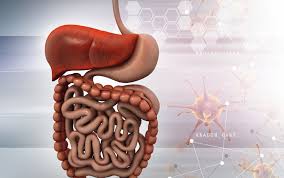 Gastroenterology image