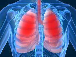 Pulmonology image